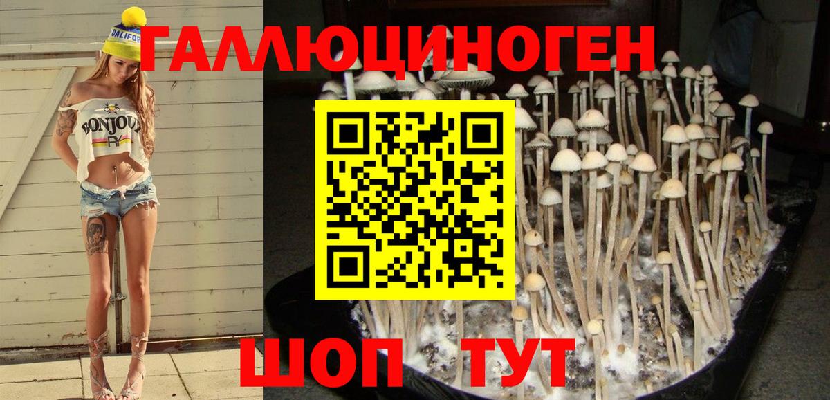Галлюциногенные грибы Magic Shrooms  Вход с VPN  Бор 
